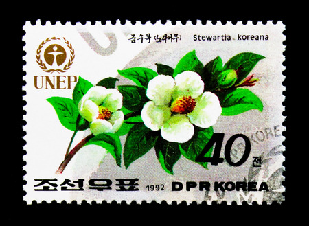 MOSCOW, RUSSIA - NOVEMBER 24, 2017: A stamp printed in Democratic People's republic of Korea shows Camellia var. koreana, Unep - World Environment Day: Flora and Fauna serie, circa 1992のeditorial素材