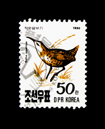 MOSCOW, RUSSIA - NOVEMBER 24, 2017: A stamp printed in Democratic People's republic of Korea shows Water Rail (Rallus aquaticus), Birds serie, circa 1990のeditorial素材