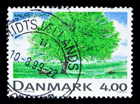 MOSCOW, RUSSIA - MAY 13, 2018: A stamp printed in Denmark shows Beech, Trees (Deciduous) serie, circa 1999のeditorial素材