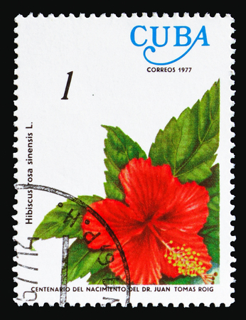 MOSCOW, RUSSIA - AUGUST 18, 2018: A stamp printed in Cuba shows Hibiscus rosa-sinensis, Flowers serie, circa 1977のeditorial素材