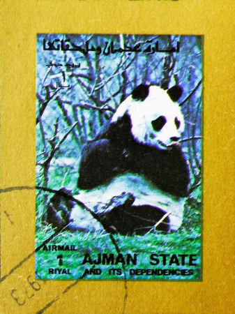MOSCOW, RUSSIA - NOVEMBER 10, 2018: A stamp printed in Ajman shows Giant Panda (Ailuropoda...