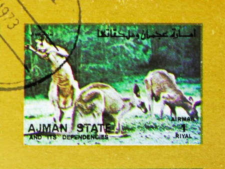 MOSCOW, RUSSIA - NOVEMBER 10, 2018: A stamp printed in Ajman shows Kangaroo (Macropus spp.),...