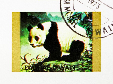 MOSCOW, RUSSIA - NOVEMBER 10, 2018: A stamp printed in Umm Al Quwain shows Giant Panda (Ailuropoda melanoleuca, Rare animals serie, circa 1972のeditorial素材