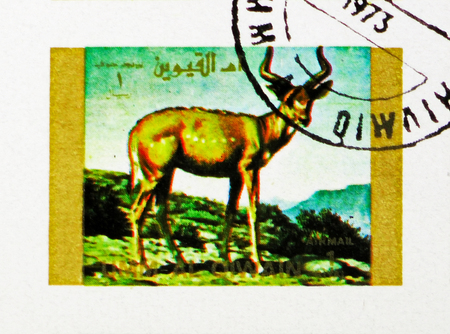 MOSCOW, RUSSIA - NOVEMBER 10, 2018: A stamp printed in Umm Al Quwain shows Kudu, Rare animals; small format serie, circa 1972のeditorial素材
