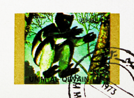 MOSCOW, RUSSIA - NOVEMBER 10, 2018: A stamp printed in Umm Al Quwain shows Mantled Guereza (Colobus...