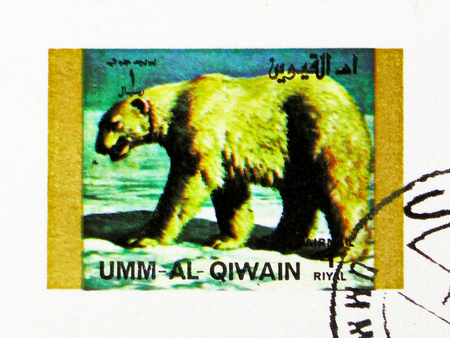 MOSCOW, RUSSIA - NOVEMBER 10, 2018: A stamp printed in Umm Al Quwain shows Polar Bear (Ursus maritimus), Rare animals; small format serie, circa 1972のeditorial素材