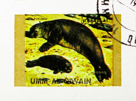 MOSCOW, RUSSIA - NOVEMBER 10, 2018: A stamp printed in Umm Al Quwain shows Sea Lion, Rare animals;...