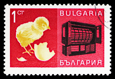 MOSCOW, RUSSIA - SEPTEMBER 15, 2018: A stamp printed in Bulgaria shows Chick and Incubator,
Economic achievements serie, circa 1967のeditorial素材