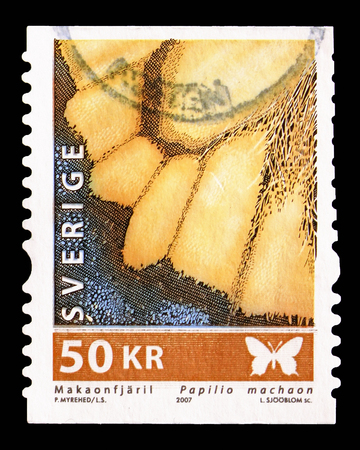 MOSCOW, RUSSIA - AUGUST 18, 2018: A stamp printed in Sweden shows Swallowtail (Papilio machaon) - Detail, Fauna serie, circa 2007のeditorial素材