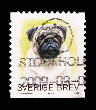MOSCOW, RUSSIA - AUGUST 18, 2018: A stamp printed in Sweden shows Pug (Canis lupus familiaris), Animals serie, circa 2008のeditorial素材