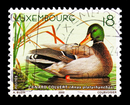 MOSCOW, RUSSIA - AUGUST 18, 2018: A stamp printed in shows , serie, circa 19のeditorial素材