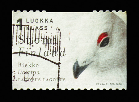 MOSCOW, RUSSIA - AUGUST 18, 2018: A stamp printed in shows , serie, circa 19