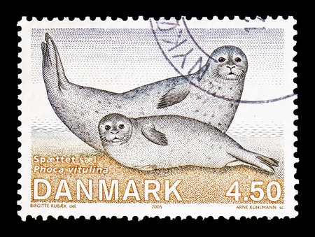 MOSCOW, RUSSIA - AUGUST 18, 2018: A stamp printed in Denmark shows Common Seal (Phoca vitulina), Fauna serie, circa 2005のeditorial素材