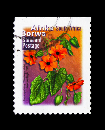 MOSCOW, RUSSIA - AUGUST 18, 2018: A stamp printed in South Africa shows Thunbergia alata, Fauna and flora serie, circa 2000のeditorial素材