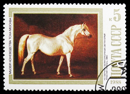 MOSCOW, RUSSIA - OCTOBER 21, 2018: A stamp printed in USSR (Russia) shows Light-grey Arab Stallion (N. Sverchkov, 1860), Horses in Paintings serie, circa 1988のeditorial素材