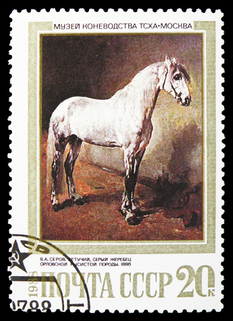 MOSCOW, RUSSIA - OCTOBER 21, 2018: A stamp printed in USSR (Russia) shows Letuchy, Grey Stallion of Orlov Trotter Breed (V. Serov, 1886), Horses in Paintings serie, circa 1988のeditorial素材