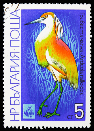 MOSCOW, RUSSIA - OCTOBER 21, 2018: A stamp printed in Bulgaria shows Squacco Heron (Ardeola ralloides), International Hunting Exhibition EXPO '81, Plovdiv: Waders serie, circa 1981のeditorial素材