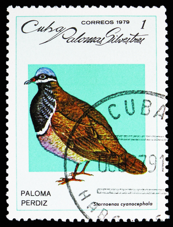 MOSCOW, RUSSIA - OCTOBER 21, 2018: A stamp printed in Cuba shows Blue-headed Quail-dove (Starnoenas cyanocephala), Wild pigeons serie, circa 1979のeditorial素材