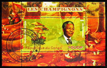 MOSCOW, RUSSIA - OCTOBER 21, 2018: A stamp printed in Congo shows block from Mushrooms serie, circa 2009のeditorial素材