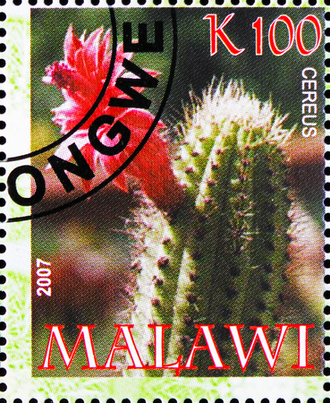 MOSCOW, RUSSIA - OCTOBER 21, 2018: A stamp printed in Malawi shows Cereus, Cactuses serie, circa 2007のeditorial素材