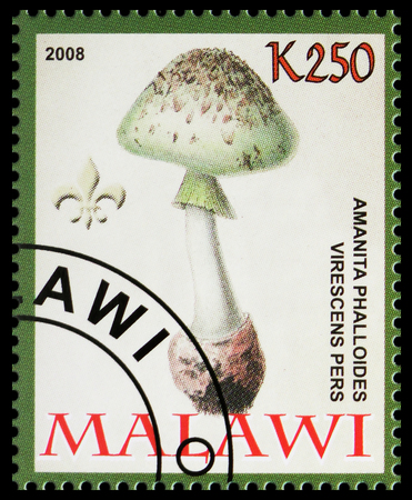 MOSCOW, RUSSIA - OCTOBER 21, 2018: A stamp printed in Malawi shows Amanita phalloides virescens pers, Mushrooms serie, circa 2008のeditorial素材