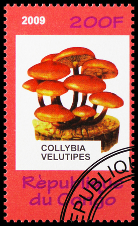 MOSCOW, RUSSIA - OCTOBER 21, 2018: A stamp printed in Congo shows Collybia velutipes, Animals and Mushrooms serie, circa 2009のeditorial素材