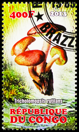 MOSCOW, RUSSIA - OCTOBER 21, 2018: A stamp printed in Congo shows Tricholomopsis rutilans, Mushrooms serie, circa 2013のeditorial素材
