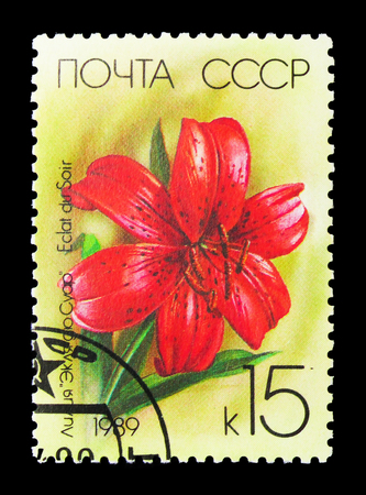 MOSCOW, RUSSIA - MARCH 31, 2018: A stamp printed in USSR (Russia) shows Eclat du Soir flower, Lilies serie, circa 1989のeditorial素材