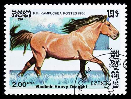 MOSCOW, RUSSIA - SEPTEMBER 26, 2018: A stamp printed in Kampuchea (Cambodia) shows Vladimir Heavy Draught (Equus ferus caballus), Horses serie, circa 1986のeditorial素材