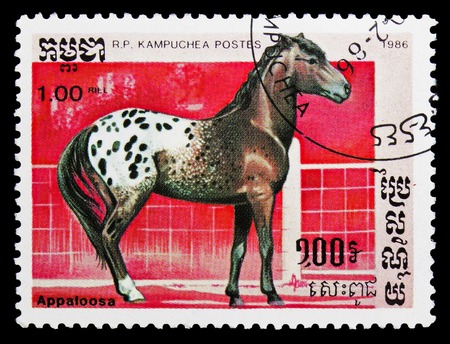 MOSCOW, RUSSIA - SEPTEMBER 26, 2018: A stamp printed in Kampuchea (Cambodia) shows Appaloosa (Equus ferus caballus), Horses serie, circa 1986のeditorial素材
