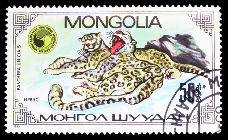 MOSCOW, RUSSIA - SEPTEMBER 26, 2018: A stamp printed in Mongolia shows Snow Leopard (Panthera Uncia), Panthera Uncias serie, circa 1985のeditorial素材