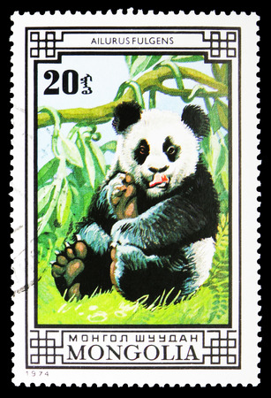 MOSCOW, RUSSIA - SEPTEMBER 26, 2018: A stamp printed in Mongolia shows Giant Panda (Ailuropoda melanoleuca), Bears serie, circa 1974のeditorial素材