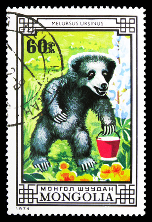 MOSCOW, RUSSIA - SEPTEMBER 26, 2018: A stamp printed in Mongolia shows Sloth Bear (Melursus ursinus), Bears serie, circa 1974のeditorial素材