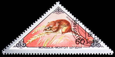 MOSCOW, RUSSIA - SEPTEMBER 26, 2018: A stamp printed in Mongolia shows Harvest Mouse (Micromys minutus), Various mammals serie, circa 1983のeditorial素材