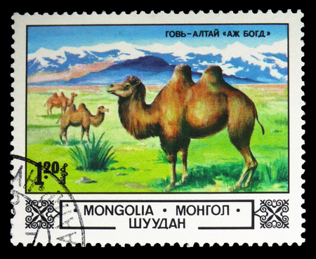 MOSCOW, RUSSIA - SEPTEMBER 26, 2018: A stamp printed in Mongolia shows Bactrian Camel (Camelus bactrianus) in Gobi Desert, Animals and landscapes serie, circa 1982のeditorial素材