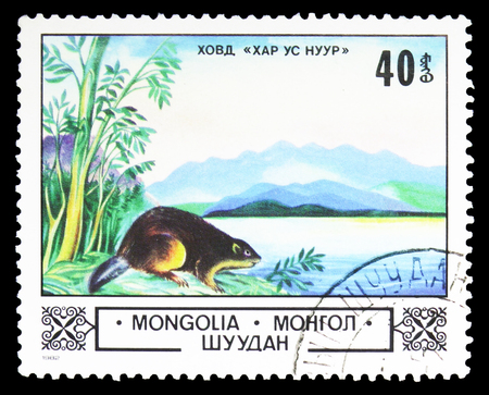 MOSCOW, RUSSIA - SEPTEMBER 26, 2018: A stamp printed in Mongolia shows Eurasian Beaver (Castor fiber) in Char Us Lake, Animals and landscapes serie, circa 1982のeditorial素材