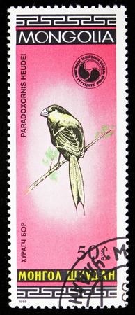 MOSCOW, RUSSIA - SEPTEMBER 26, 2018: A stamp printed in Mongolia shows Reed Parrotbill (Paradoxornis heudei), Birds serie, circa 1985のeditorial素材