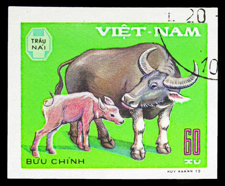 MOSCOW, RUSSIA - SEPTEMBER 26, 2018: A stamp printed in Vietnam shows Domesticated Water Buffalo (Bos bubalus domesticus), Domestic horned animals serie, circa 1979のeditorial素材
