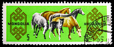 MOSCOW, RUSSIA - NOVEMBER 26, 2018: A stamp printed in Mongolia shows Horses On Meadow, Horse Breeding serie, circa 1965のeditorial素材