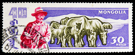 MOSCOW, RUSSIA - NOVEMBER 26, 2018: A stamp printed in Mongolia shows Horse (Equus ferus caballus), 40 Anniversary of the victory of the popular republic : Live serie, circa 1961のeditorial素材