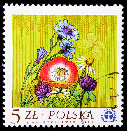 MOSCOW, RUSSIA - JANUARY 4, 2019: A stamp printed in Poland shows Wild flowers, Human Environment serie, circa 1983のeditorial素材