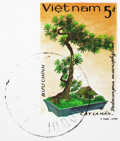 MOSCOW, RUSSIA - JANUARY 4, 2019: A stamp printed in Vietnam shows Arhat tree (Podocarpus macrophyllus), Vietnamese Bonsai serie, circa 1986のeditorial素材