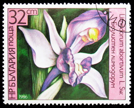MOSCOW, RUSSIA - JANUARY 4, 2019: A stamp printed in Bulgaria shows Limodorum abortivum, Orchids serie, circa 1986のeditorial素材