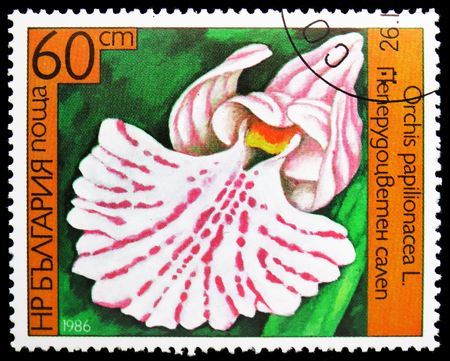 MOSCOW, RUSSIA - JANUARY 4, 2019: A stamp printed in Bulgaria shows Anacamptis papilionacea (syn.Orchis papilionacea), Orchids serie, circa 1986のeditorial素材