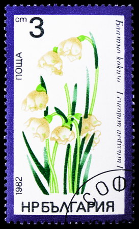 MOSCOW, RUSSIA - JANUARY 4, 2019: A stamp printed in Bulgaria shows Leucojum aestivum, Flora serie, circa 1982のeditorial素材