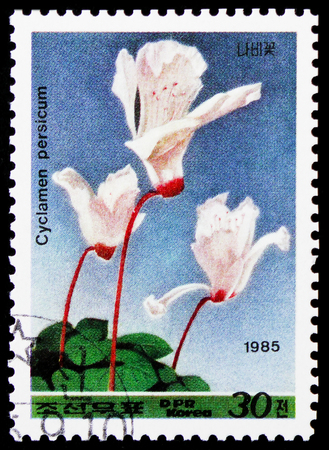 MOSCOW, RUSSIA - JANUARY 4, 2019: A stamp printed in Korea shows Cyclamen persicum, Flowers serie, circa 1985のeditorial素材
