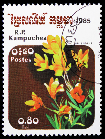 MOSCOW, RUSSIA - JANUARY 4, 2019: A stamp printed in Kampuchea (Cambodia) shows Crocus aureus, Flowers serie, circa 1985のeditorial素材