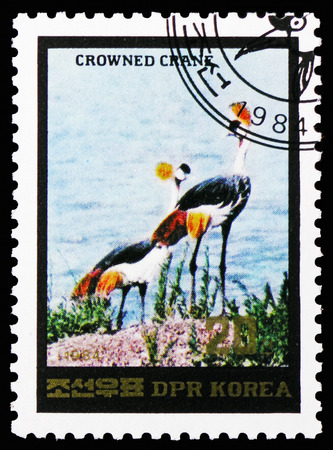 MOSCOW, RUSSIA - NOVEMBER 10, 2018: A stamp printed in Korea shows Grey Crowned Crane (Balearica regulorum), Birds serie, circa 1984のeditorial素材
