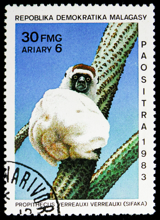 MOSCOW, RUSSIA - NOVEMBER 10, 2018: A stamp printed in Madagascar shows Verreauxâs Sifaka (Propithecus verreauxi), Lemurs serie, circa 1983のeditorial素材
