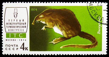 MOSCOW, RUSSIA - NOVEMBER 10, 2018: A stamp printed in USSR (Russia) shows Russian Desman (Desmana moschata), 1st International Theriological Congress (ITC) serie, circa 1974のeditorial素材